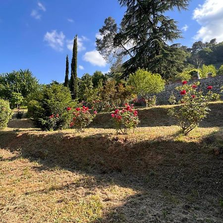 Borgo Al Canto Degli Alberi ลุคคา ภายนอก รูปภาพ