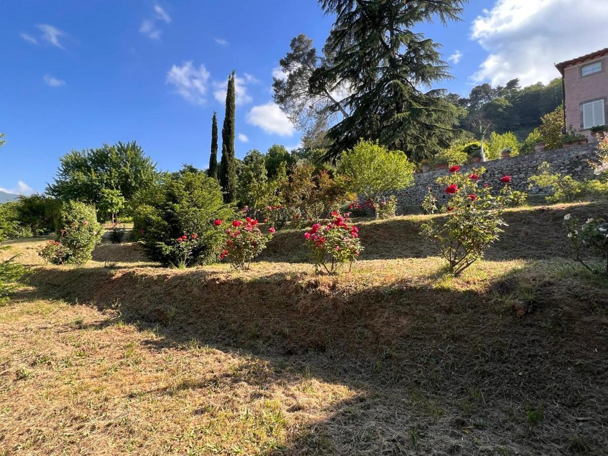 Borgo Al Canto Degli Alberi ลุคคา ภายนอก รูปภาพ