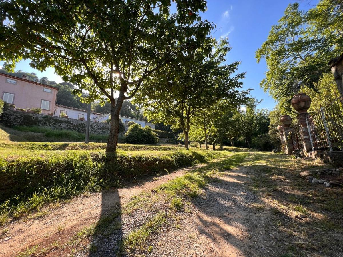 Borgo Al Canto Degli Alberi ลุคคา ภายนอก รูปภาพ