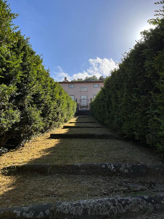 Borgo Al Canto Degli Alberi ลุคคา ภายนอก รูปภาพ