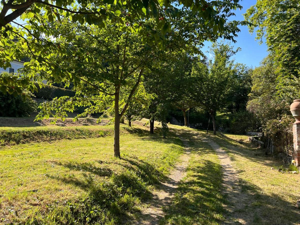 Borgo Al Canto Degli Alberi ลุคคา ภายนอก รูปภาพ
